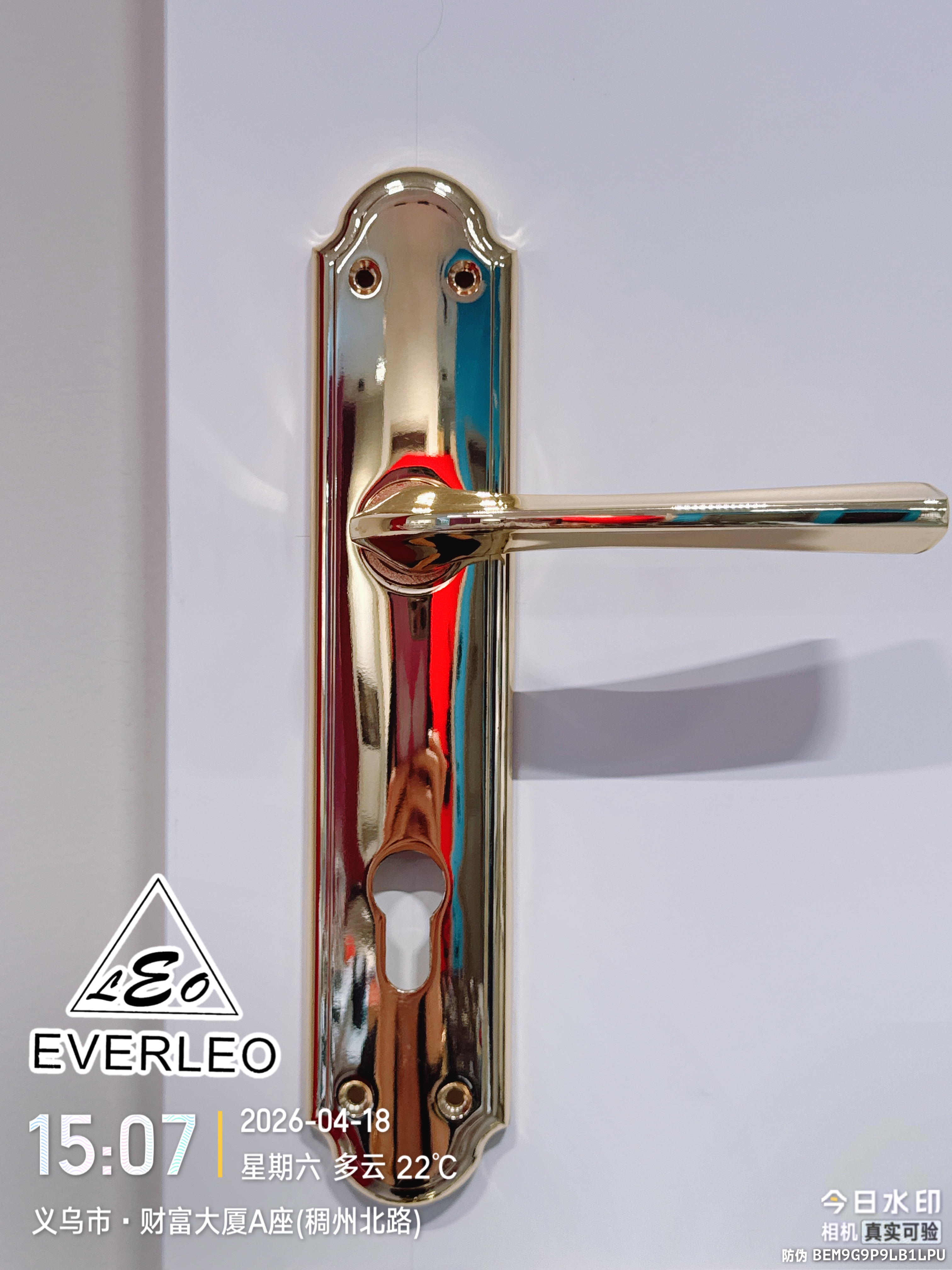 EVERLEO门锁把手CB2012朗泰进出口生产智造
