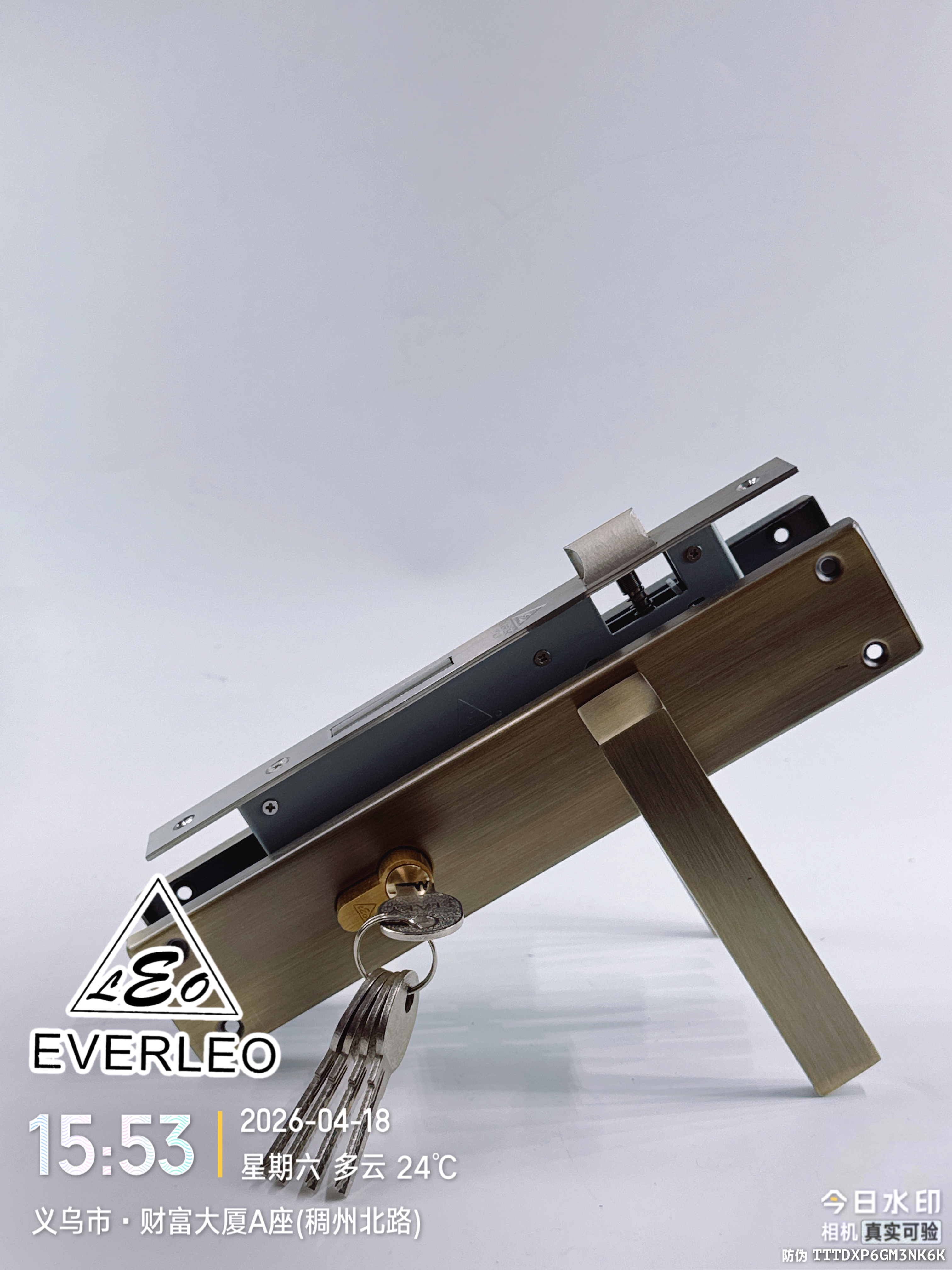 EVERLEO 7009-L39-AB 朗泰进出口生产智造