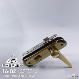 EVERLEO 608-904-AB 朗泰进出口生产智造