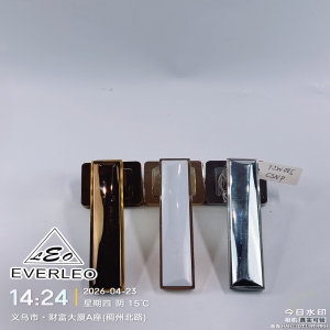 EVERLEO TIW 005 CSNP 朗泰进出口生产智造